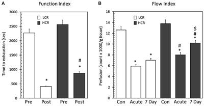 Low Intrinsic Aerobic Capacity Limits Recovery Response to Hindlimb Ischemia